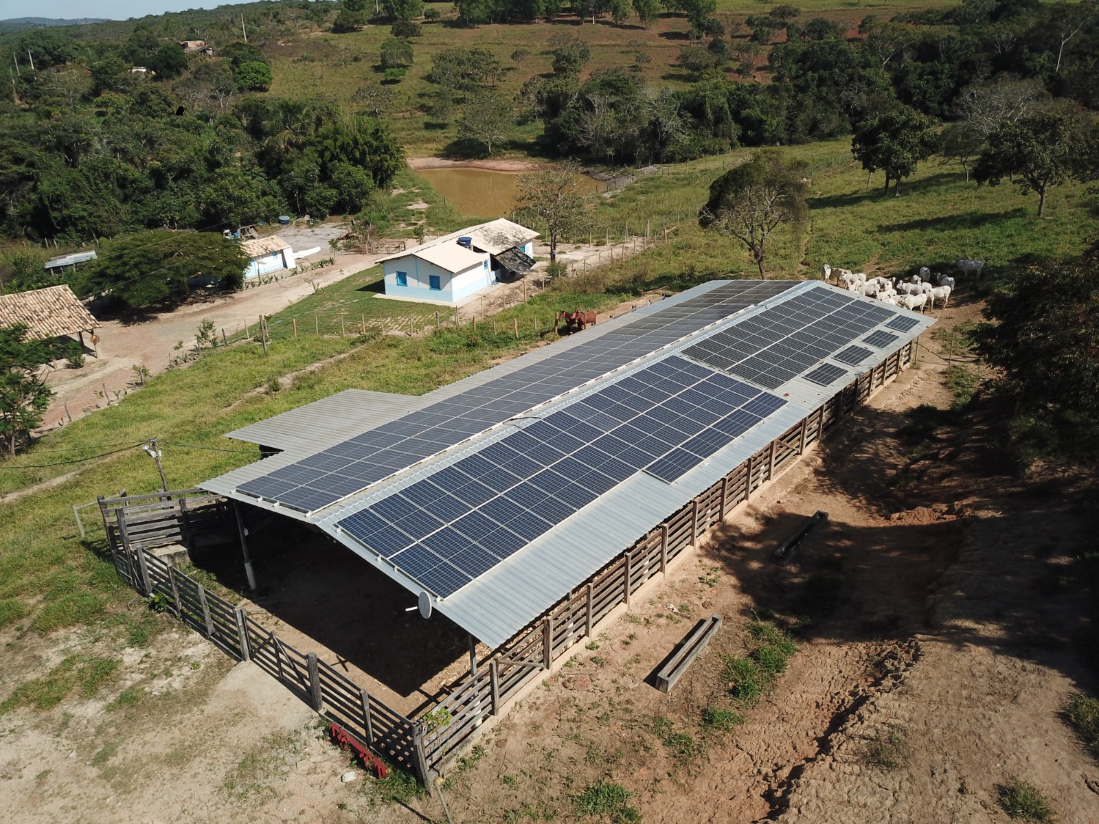 d1265ff0-0a18-11ee-a89d-51638b320179