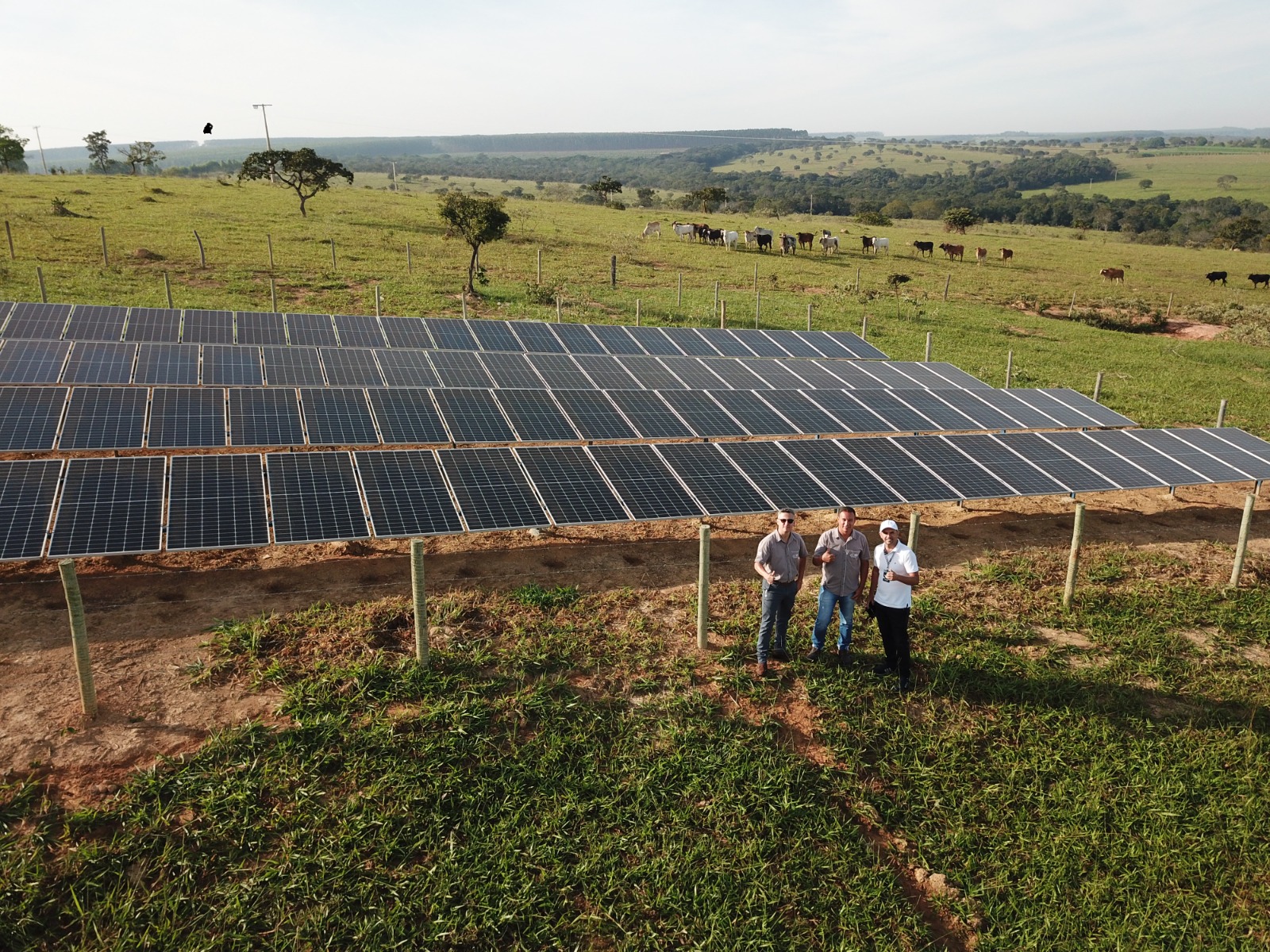 d22bc200-0a18-11ee-a89d-51638b320179